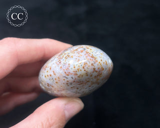 Ocean Jasper Chunky Palm Stone #20