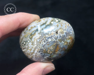 Ocean Jasper Chunky Palm Stone #21