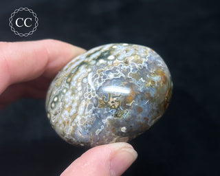 Ocean Jasper Chunky Palm Stone #21