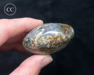 Ocean Jasper Chunky Palm Stone #21