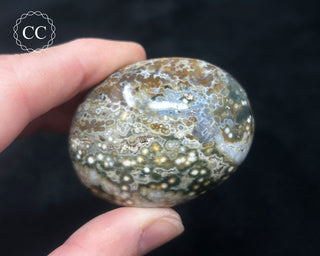 Ocean Jasper Chunky Palm Stone #21