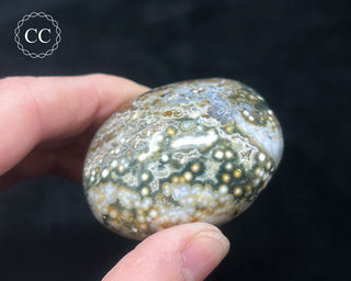 Ocean Jasper Chunky Palm Stone #21