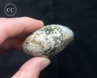 Ocean Jasper Chunky Palm Stone #21