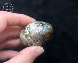 Ocean Jasper Chunky Palm Stone #21