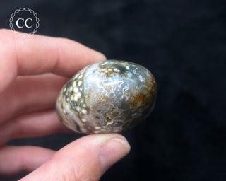 Ocean Jasper Chunky Palm Stone #21