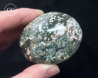Ocean Jasper Chunky Palm Stone #22