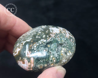 Ocean Jasper Chunky Palm Stone #22