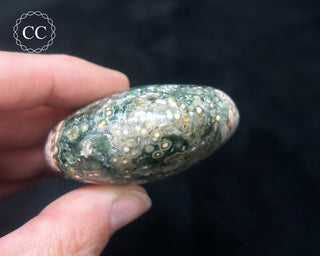 Ocean Jasper Chunky Palm Stone #22