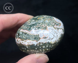 Ocean Jasper Chunky Palm Stone #22