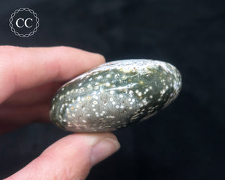 Ocean Jasper Chunky Palm Stone #22