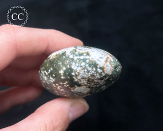 Ocean Jasper Chunky Palm Stone #22