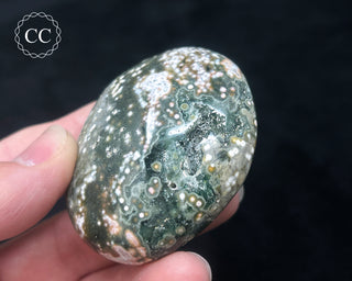 Ocean Jasper Chunky Palm Stone #22