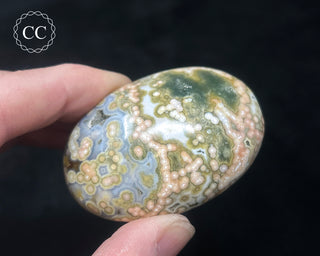 Ocean Jasper Chunky Palm Stone #8