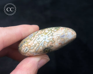 Ocean Jasper Chunky Palm Stone #8