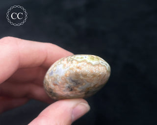 Ocean Jasper Chunky Palm Stone #8