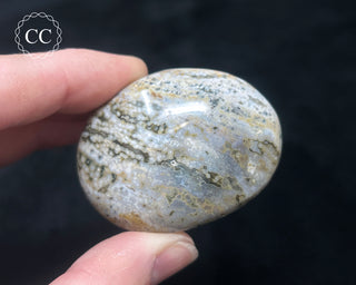 Ocean Jasper Chunky Palm Stone #10
