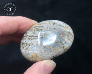 Ocean Jasper Chunky Palm Stone #10