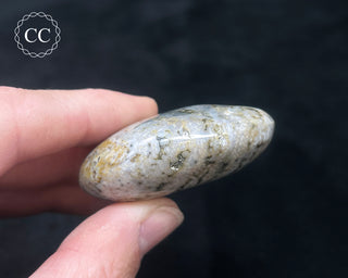 Ocean Jasper Chunky Palm Stone #10