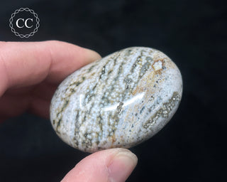 Ocean Jasper Chunky Palm Stone #10