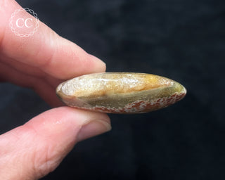 Ocean Jasper Chunky Palm Stone #7