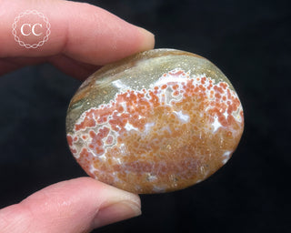 Ocean Jasper Chunky Palm Stone #7