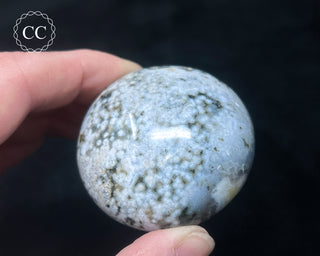 Ocean Jasper Chunky Palm Stone #13
