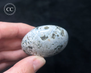 Ocean Jasper Chunky Palm Stone #13