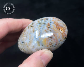 Ocean Jasper Chunky Palm Stone #14