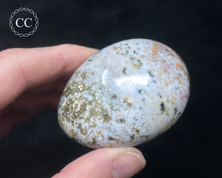 Ocean Jasper Chunky Palm Stone #14