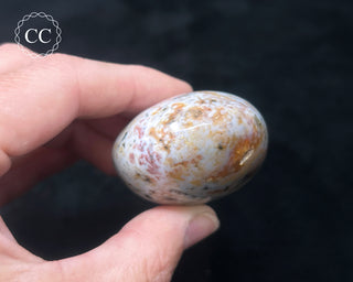 Ocean Jasper Chunky Palm Stone #14