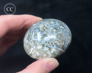 Ocean Jasper Chunky Palm Stone #15