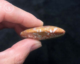 Ocean Jasper Chunky Palm Stone #7