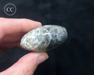 Ocean Jasper Chunky Palm Stone #15