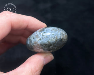 Ocean Jasper Chunky Palm Stone #15