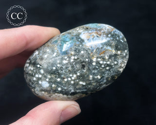 Ocean Jasper Chunky Palm Stone #16