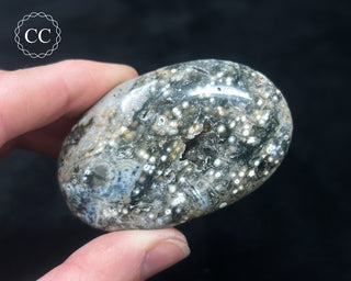 Ocean Jasper Chunky Palm Stone #16