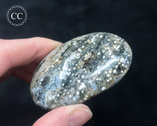 Ocean Jasper Chunky Palm Stone #16