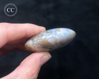 Ocean Jasper Chunky Palm Stone #17