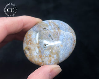 Ocean Jasper Chunky Palm Stone #17