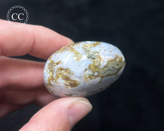 Ocean Jasper Chunky Palm Stone #18