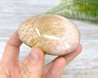 Ocean Jasper Chunky Palm Stone #5