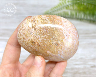 Ocean Jasper Chunky Palm Stone #5