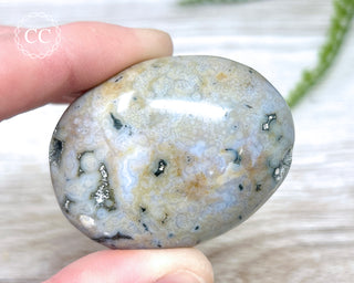 Ocean Jasper Chunky Palm Stone #1