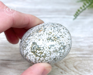 Ocean Jasper Chunky Palm Stone #11
