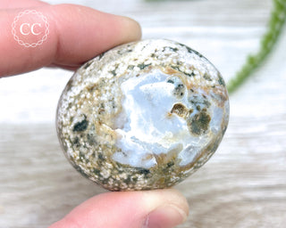 Ocean Jasper Chunky Palm Stone #2