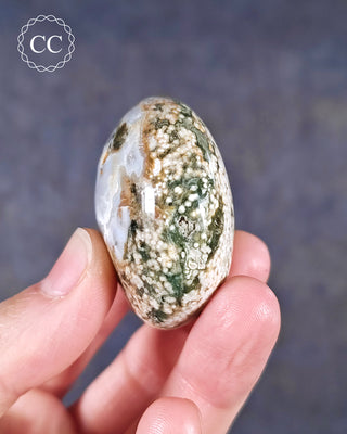 Ocean Jasper Chunky Palm Stone #2