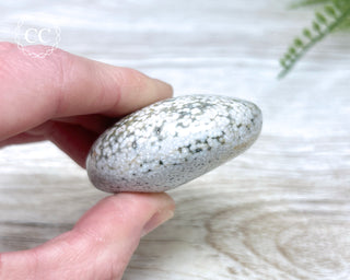 Ocean Jasper Chunky Palm Stone #11