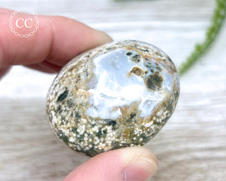Ocean Jasper Chunky Palm Stone #2