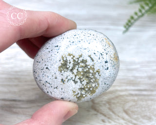 Ocean Jasper Chunky Palm Stone #11