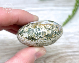 Ocean Jasper Chunky Palm Stone #2